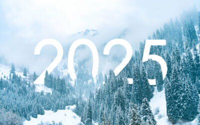 Vœux 2025 de David Caillouel, président du SEFB