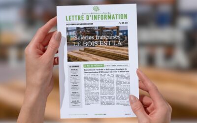 Réduction de l’activité et de l’export, le mépris de l’interprofession (FBF) remet en cause la filière bois – David Caillouel