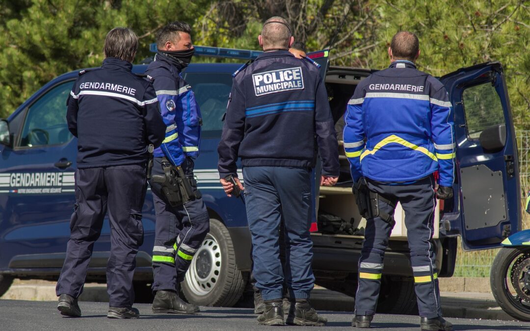 Le Syndicat des Exploitants de la Filière Bois (SEFB) condamne les activités illicites d’une entreprise d’exploitation forestière dans les Yvelines