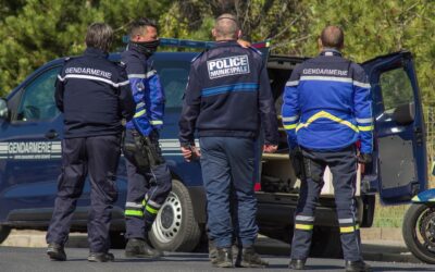 Le Syndicat des Exploitants de la Filière Bois (SEFB) condamne les activités illicites d’une entreprise d’exploitation forestière dans les Yvelines