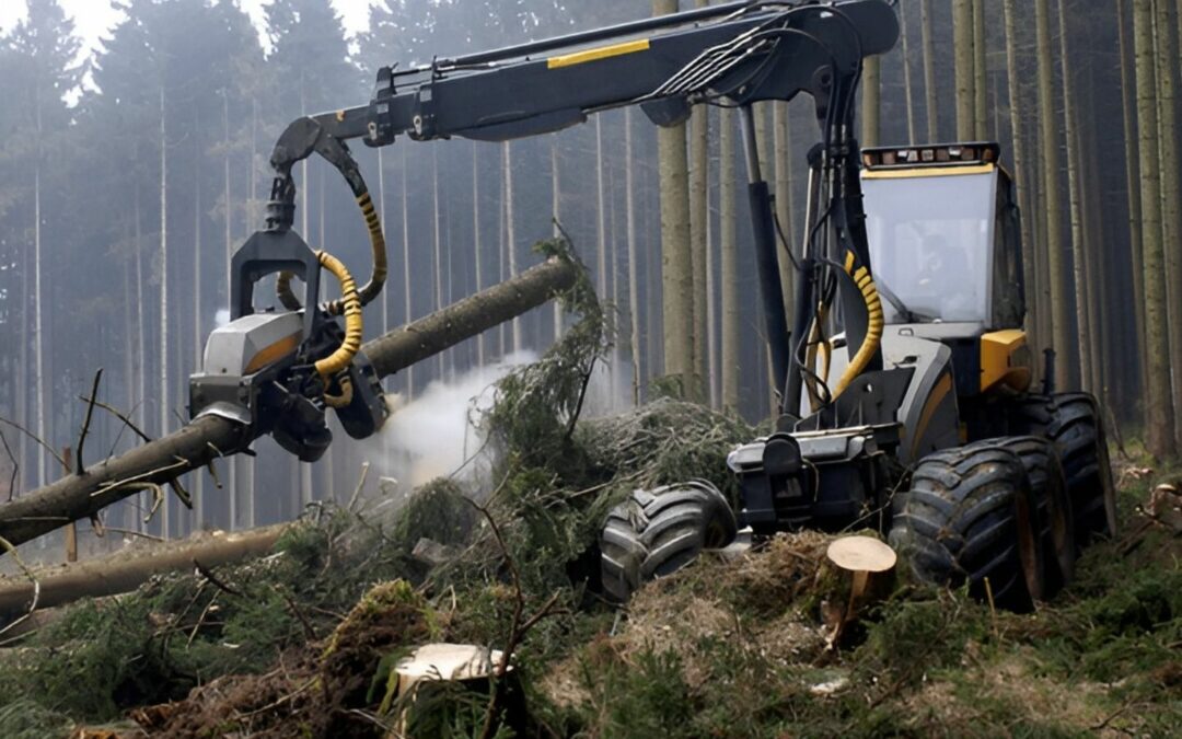 Règlement déforestation : le SEFB dénonce une simplification qui sacrifie les exploitants forestiers