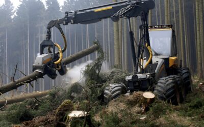 Règlement déforestation : le SEFB dénonce une simplification qui sacrifie les exploitants forestiers