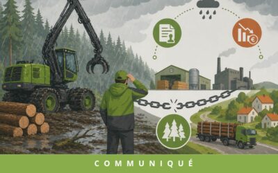 Intempéries : l’amont de la filière bois à l’arrêt. Combien de temps encore sans aide ?